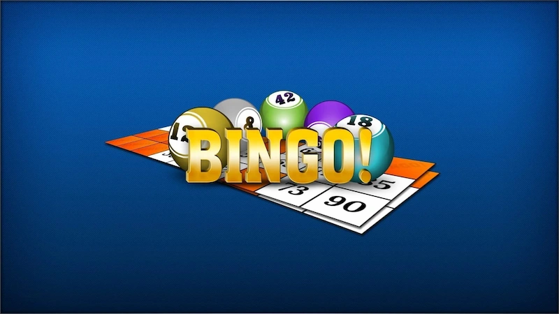 What is Bingo?